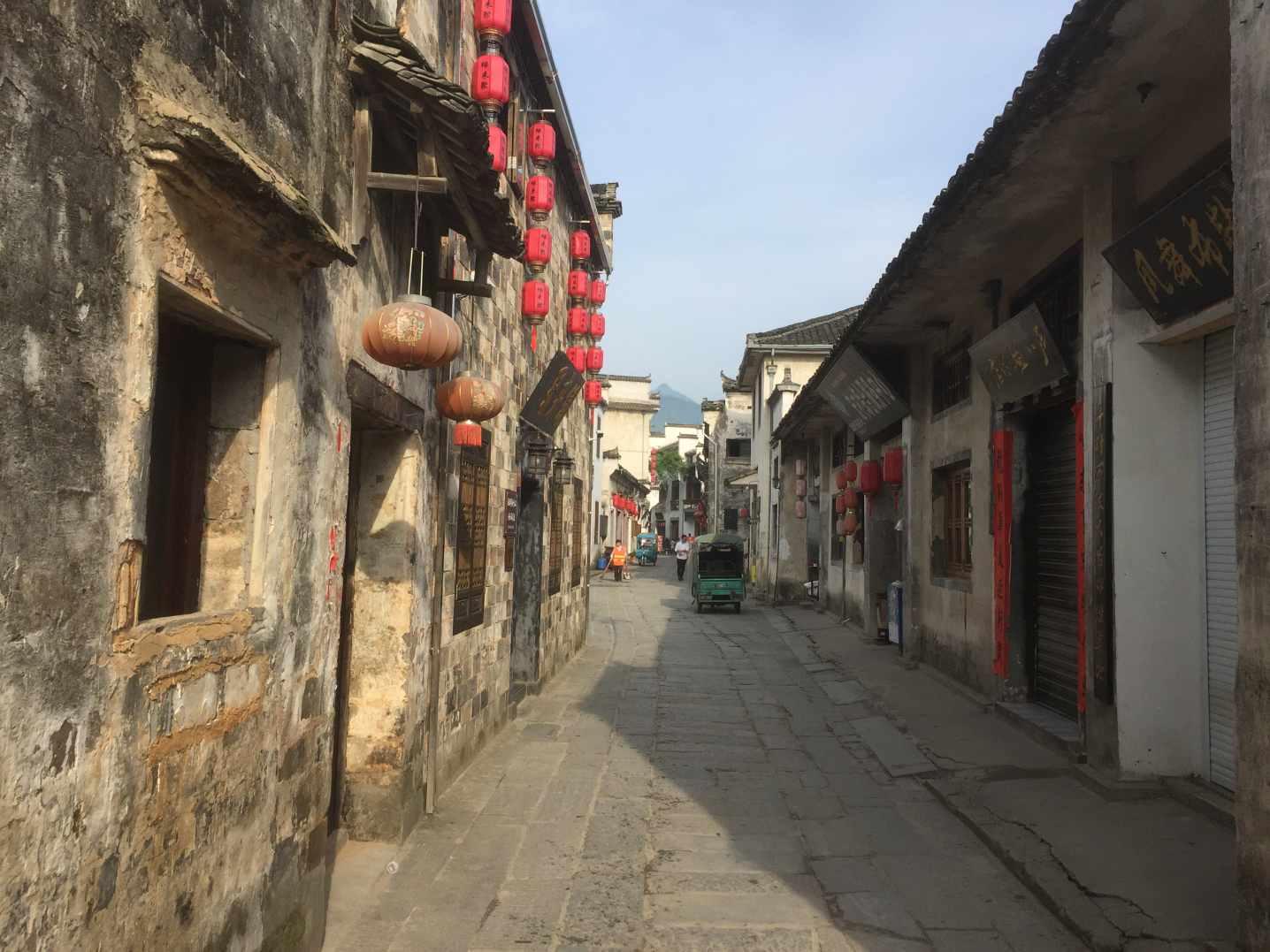 救援小巨鳄